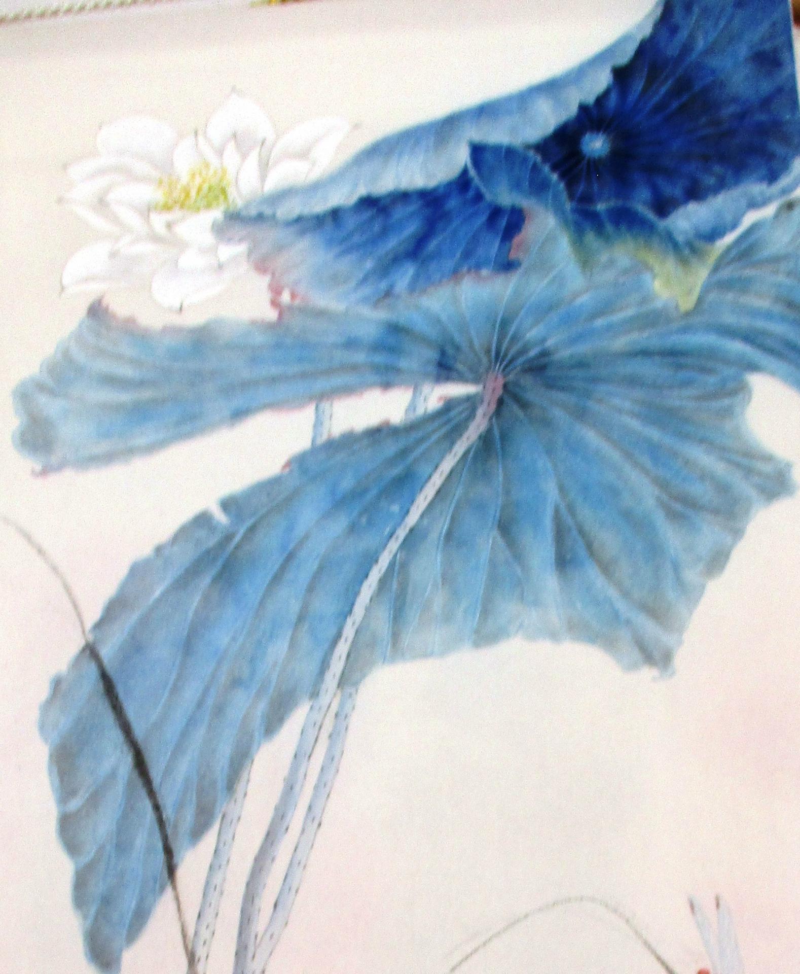 Lotus bleu fragment pigment bleu de Taiwan