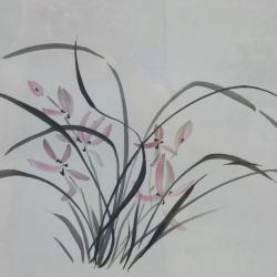 download varicella zosters a medical dictionary bibliography and