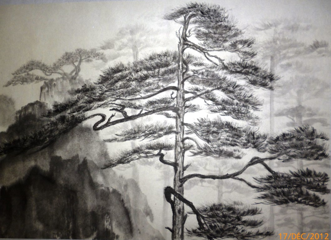 Pin du Huangshan